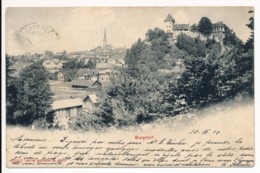 CPA SUISSE BURGDORF édition Photoglob Zürich - Autres & Non Classés