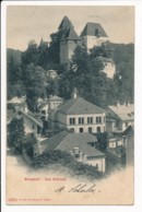 CPA SUISSE BURGDORF Das Schloss édition Photoglob Zürich - Autres & Non Classés