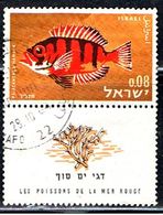 ISRAEL 488 // YVERT 244 // 1963 - Gebraucht (mit Tabs)