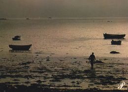 Cpm 10x15. PRESTIGE .BRETAGNE . 35-P19. Barques à Marée Basse  (non Circulée) - Photographie