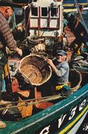 Cpm 10x15. PRESTIGE .BRETAGNE . 35-P39 . Pêcheur Au Panier Dans Chalutier (non Circulée) - Fotografie