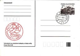 Slovakia 1. 1. 1993, Pečiatka Vzniku Slovenskej Republiky, Unused - Covers & Documents