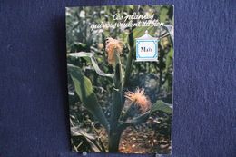 MO-228 -  Fleurs, Plantes & Arbres  Fleurs,  Ces Plantes Qui Vous Veulent Du Bien . Maïs  -  Circulé, - Plantes Médicinales