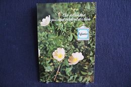 MO-357 -  Fleurs, Plantes & Arbres  Fleurs,  Ces Plantes Qui Vous Veulent Du Bien . Eglantier -  Circulé, - Plantes Médicinales