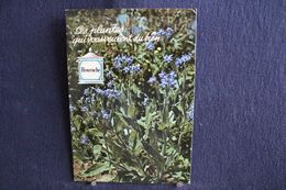 MO-359 -  Fleurs, Plantes & Arbres  Fleurs,  Ces Plantes Qui Vous Veulent Du Bien . Bourrache  -  Circulé, - Piante Medicinali