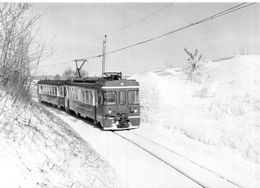 BVA - Reverolle  - Bière - Apples - Morges Ligne De Chemin De Fer -Train - B.A.M - BAM - Apples