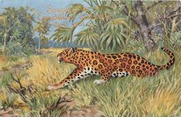 CPA Souvenir De L'Exposition Coloniale 1931 Lettre Dorées Illustrée Par A.D. Hoffmann Leopard ( Guépard Jaguar ?) Savane - Hoffmann, Ad.