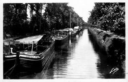 Redon * Le Canal Et Les Bateaux * Péniche ... & Thérèse , Lagueux * Péniche La Savie * Péniches Batellerie Barge Chaland - Redon