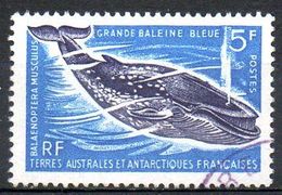 TAAF. N°22 Oblitéré De 1966. Grande Baleine Bleue. - Baleines