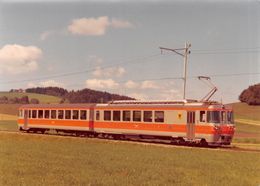 Photo Sans Indications - Gruyère-Fribourg-Morat - GFM - G.F.M - Ligne De Chemin De Fer Train - Fribourg