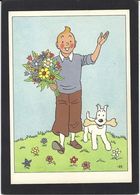 CPSM Hergé Tintin Non Circulé Voir Scan Du Dos - Hergé