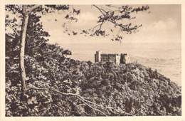 MiNr.P254 Bild 141:  Hambacher Schloss MWS 30.3.35 - Cartes Postales