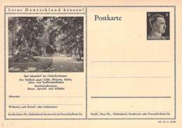 MiNr.P305 Blanc Bad Salzschlirf - Cartes Postales