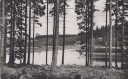 Allemagne - Clausthal-Zellerfeld Im Oberharz Prinzen-Teich - Clausthal-Zellerfeld