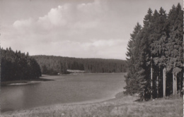 Allemagne - Clausthal-Zellerfeld Im Oberharz Prinzen-Teich - Clausthal-Zellerfeld