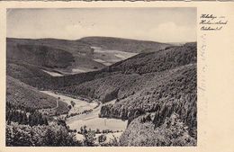 AK Hohenleye Im Hochsauerland - Odeborntal - Ca. 1930 (50766) - Winterberg