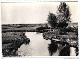 Carte Postale 44.  Saint-Joachim  La Boulée Trés Beau Plan - Saint-Lyphard