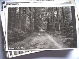 Nederland Holland Pays Bas Ermelo Met Poolse Allée Fietspad - Ermelo