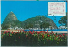 85980  - BRAZIL - POSTAL HISTORY -  Yvert FRAMA 2-3 Used On POSTCARD 1981 - Franking Labels