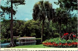 Florida Silver Springs Electric Glass Bottom Boat 1977 - Silver Springs