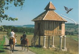 1564 82 LE PIGEONNIER  De LAUZERTE     Tarn  Et Garonne     Chevaux    Oiseau Pigeon - Lauzerte