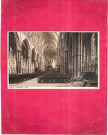 LINCOLN - ANGLETERRE - Cathedral Nave - BERG1 - - Lincoln