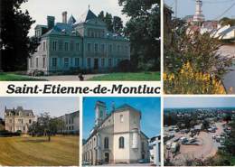 SAINT ETIENNE DE MONLUC - Multivues - Saint Etienne De Montluc