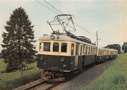 BVA - Entre Fey Et Sugnens  - Lausanne - Echallens - Bercher - LEB - L.E.B.  - Ligne De Chemin De Fer Train - BDe 4/4 25 - Bercher