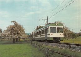 BVA - Fey - Lausanne - Echallens - Bercher - LEB - L.E.B.  - Ligne De Chemin De Fer Train - - Bercher