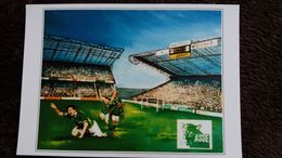 CPM STADE STADIUM SAINT ETIENNE GEOFFROY GUICHARD D APRES TABLEAU DE C CHEVER PHOTO NAULIN 2002  JOIE DU BUTEUR - Stades