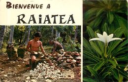 RAIATEA La Récolte Du Coprah Et Fleure De Tiare Apetai - Polynésie Française