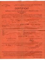 VP17.171 - MILITARIA - GRENOBLE X SAINT JUST DE CLAIX 1919 - Certificat - Soldat A. REY Du 121 è Rgt D'Artillerie Lourde - Documenten