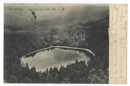 Der Wildsee I. Schwarzwald 1022 Mtr. ü. M. - Baiersbronn