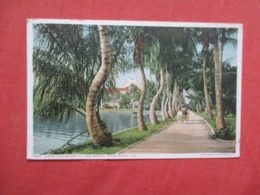 Along The Shore  Of Lake Worth Florida > Palm Beach    Ref 4148 - Palm Beach