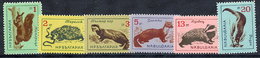 BULGARIA 1963 Mammals MNH / **.  Michel 1377-82 - Ongebruikt