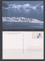 TAAF 1989 Max Douguet Postal Stationery N° 1 Unused (48067) - Entiers Postaux