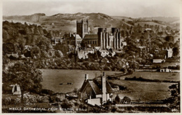 SOMERSET - WELLS CATHEDRAL FROM MILTON HILL RP Som118 - Wells