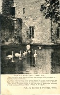 SOMERSET - WELLS - SWANS RINGING THE BELL Som286 - Wells