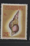 COMORES  N° 24*  - COQUILLAGE    Cote 16.00 € - Coneshells