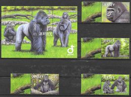 Jersey 2012 MiNr. 1671 - 74 Bl. 103 WILDLIFE PRESERVATION TRUST Mammals Western Lowland Gorilla 4v + S\sh MNH** 9.50 € - Gorilles