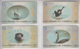 CHINA 2002 BIRDS SWAN SET OF 4 CARDS - Hoenderachtigen & Fazanten