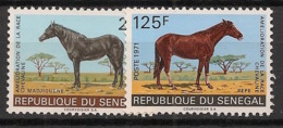 Sénégal - 1971 - N°Yv. 349 à 350 - Chevaux - Neuf Luxe ** / MNH / Postfrisch - Horses