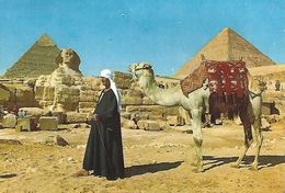 Egypt Giza Pyramid Sphynx Camel Viewcard - Sphynx