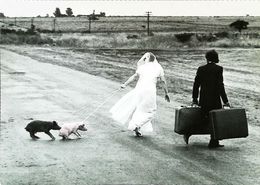 Mariage Wedding Cochon Pig Valise  The First Day - Recepties