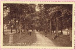 Bettelaere - Dreef Van Het Oud Karthuizenklooster - Merelbeke