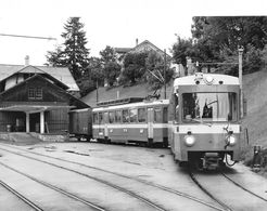 BVA - Trogen TB - T.B.  Trogenerbahn  Appenzeller Bahnen Ligne De Chemin De Fer Train - Trogen