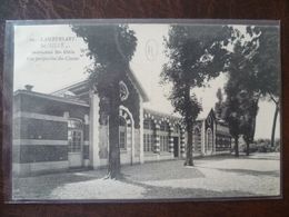 LAMBERSART-LEZ- LILLE  Institution Sainte Odile Vue Perspective Des Classes - Lambersart