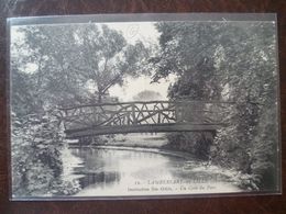 Delcampe - LAMBERSART-LEZ- LILLE  Institution Sainte Odile Un Coin Du Parc - Lambersart