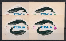 Tonga - 1977 - Poste Aérienne PA N°Yv. 220 à 223 - Whales - Complete Set - Neuf Luxe ** / MNH - Baleines