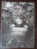 Delcampe - LAMBERSART Institution Sainte Odile - Lambersart